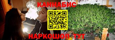 индика Тара