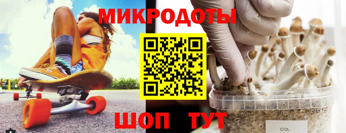 Псилоцибиновые грибы MAGIC MUSHROOMS  Псилоцибиновые грибы ЛСД  Вход с VPN  Ноябрьск 